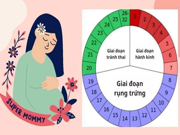 Cách tính ngày rụng trứng theo chu kỳ kinh nguyệt