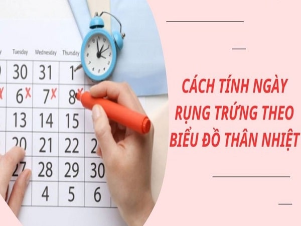 Cách tinh ngày rụng trứng bằng phương pháp đo nhiệt độ cơ thể