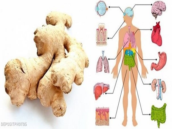 Bất ngờ với công dụng của gừng trong chăm sóc sức khỏe