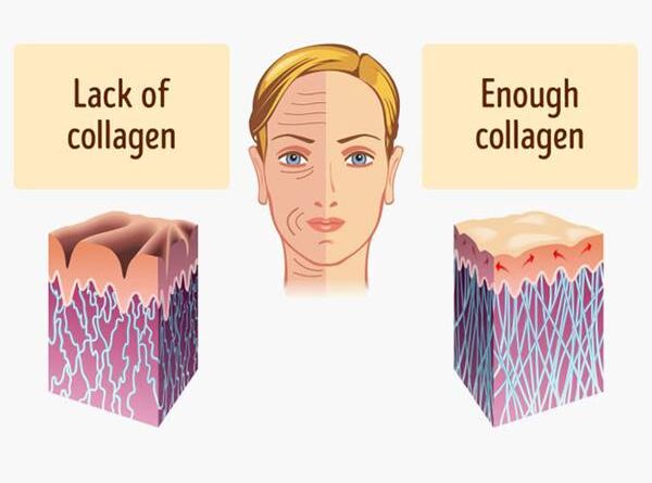 Collagen là gì? Làm thế nào để bổ sung Collagen cho cơ thể