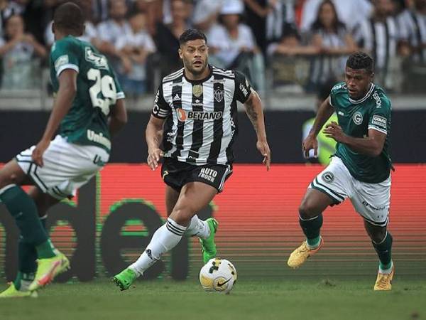 Nhận định hiệp 1 Botafogo SP vs Criciuma