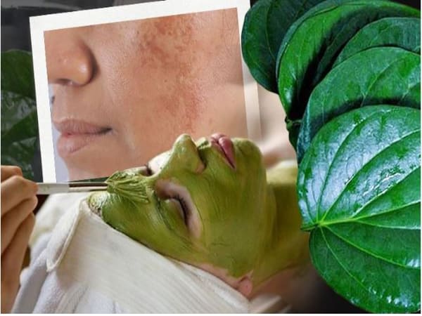 Làm đẹp với lá trầu không