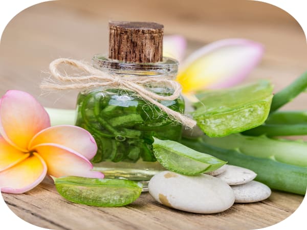 làm đẹp với nha đam ngâm rượu