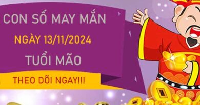 Con số tuổi Mão ngày 13/11/2024 số đẹp đón ngày mới