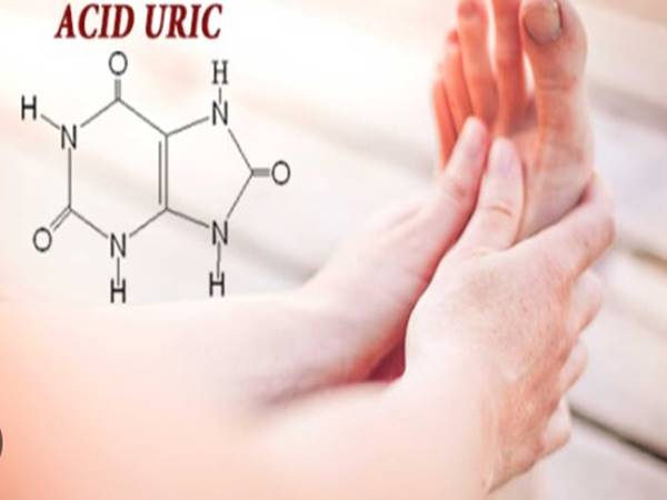 cach-dao-thai-acid-uric