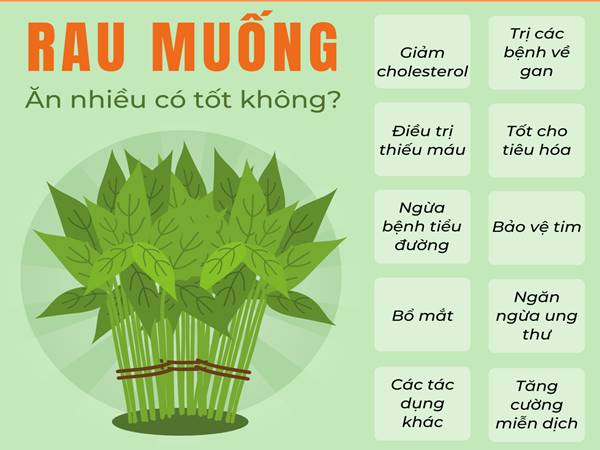 Ăn rau muống nhiều có tốt không