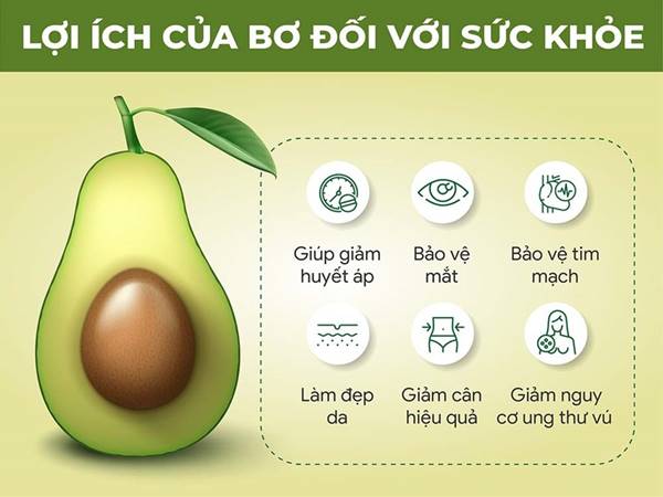 Lợi ích của quả bơ