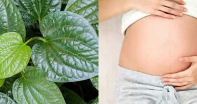 Lá lốt hỗ trợ cải thiện tuần hoàn nếu dùng hợp lý với mẹ bầu