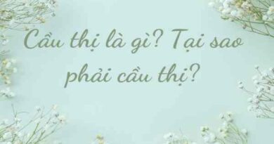 thái độ cầu thị là gì