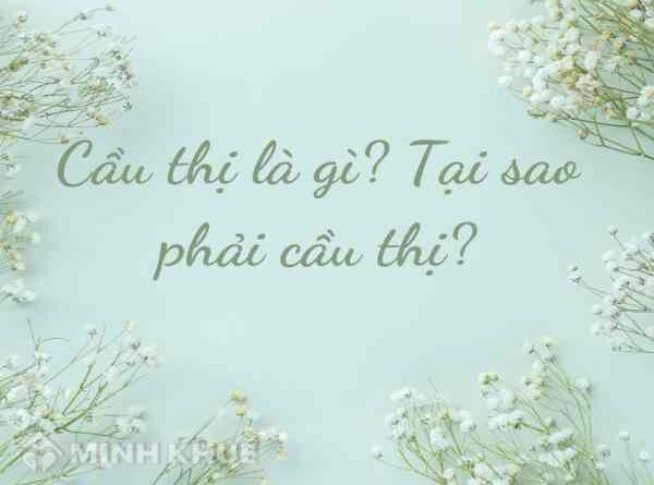 thái độ cầu thị là gì