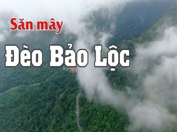 Vì sao nên chọn Bảo Lộc để săn mây?