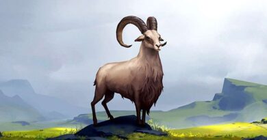 Tài lộc dồi dào với số vàng tuổi Quý Mùi 22/11/2025