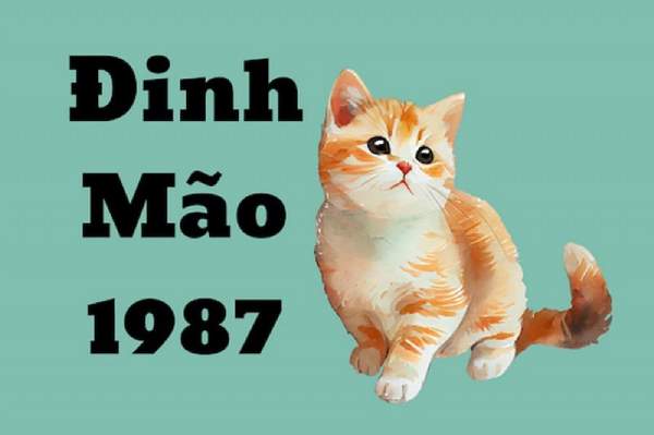 Vận trình tử vi tuổi Đinh Mão 3/11/2025