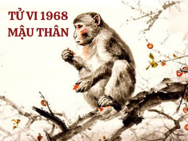 Tổng quan vận trình tuổi Mậu Thân ngày 9/1/2026